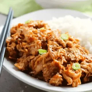 Crock Pot Teriyaki Chicken Thighs