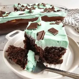 Chocolate Mint Cake