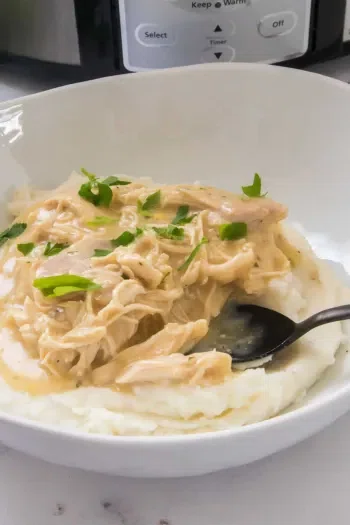 Slow Cooker Chicken and Gravy