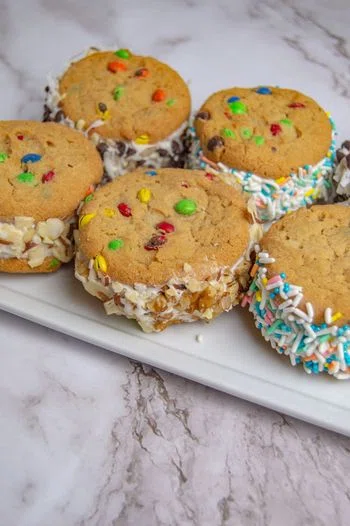 Homemade Ice Cream Sandwiches