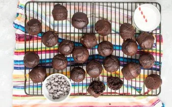 Chocolate Muffins