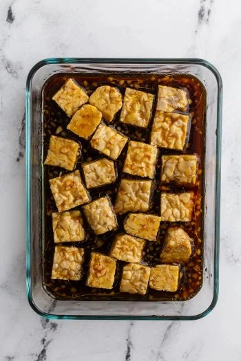 Tempeh Marinade