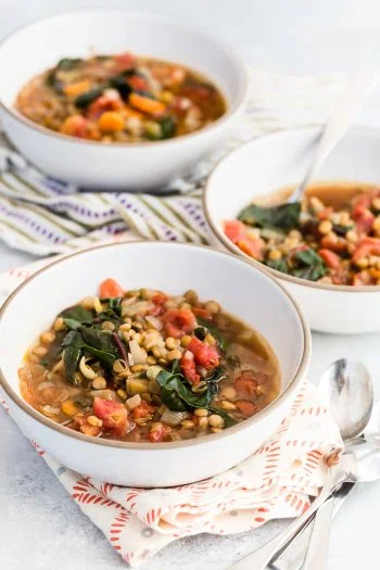 Crock Pot Lentil Veggie Stew