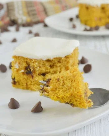 Pumpkin Chocolate Chip Cake