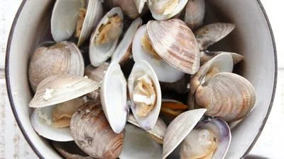 Clams with White Wine Sauce