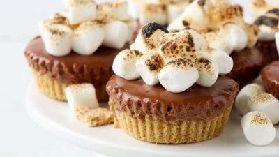 No-Bake Mini S'mores Cheesecakes