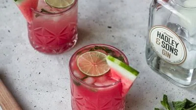 Watermelon Gin Fizz With Mint