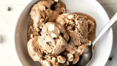 Cocoa Condensed Milk Ice Cream (No Churn)