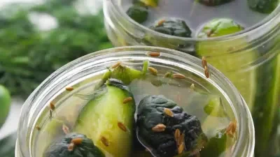 Refrigerator Garlic Dill Pickles