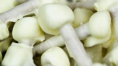 Halloween Pretzels Bones