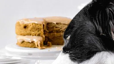 Peanut Butter Pumpkin Dog Birthday Cake
