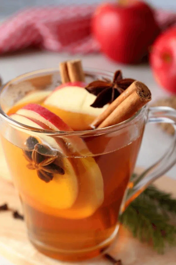 Slow Cooker Cider cover
