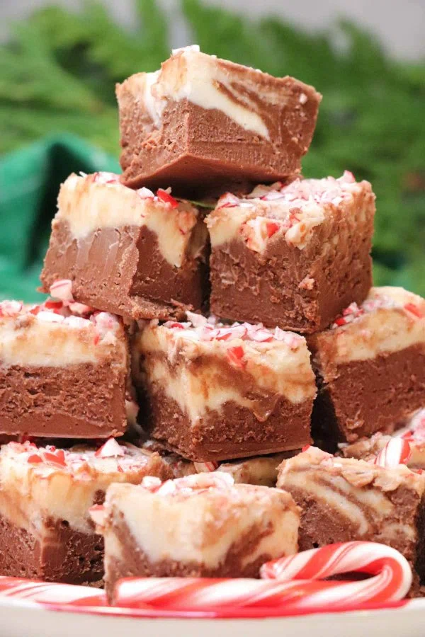 The Best Chocolate Peppermint Fudge cover