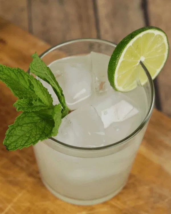 Mojito Moonshine cover