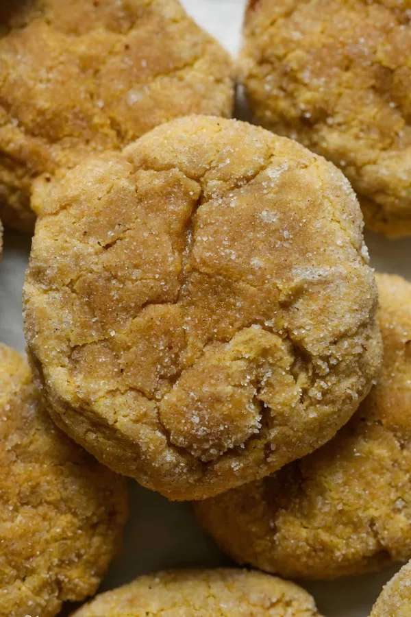 Pumpkin Snickerdoodles cover