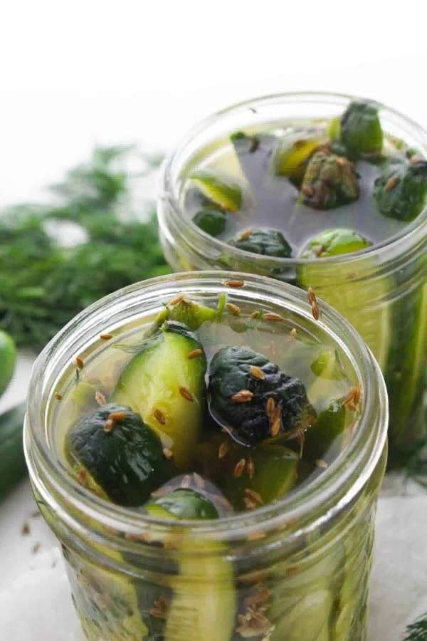 Refrigerator Garlic Dill Pickles cover