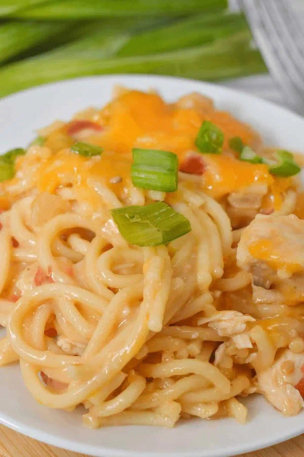 Rotel Chicken Spaghetti cover