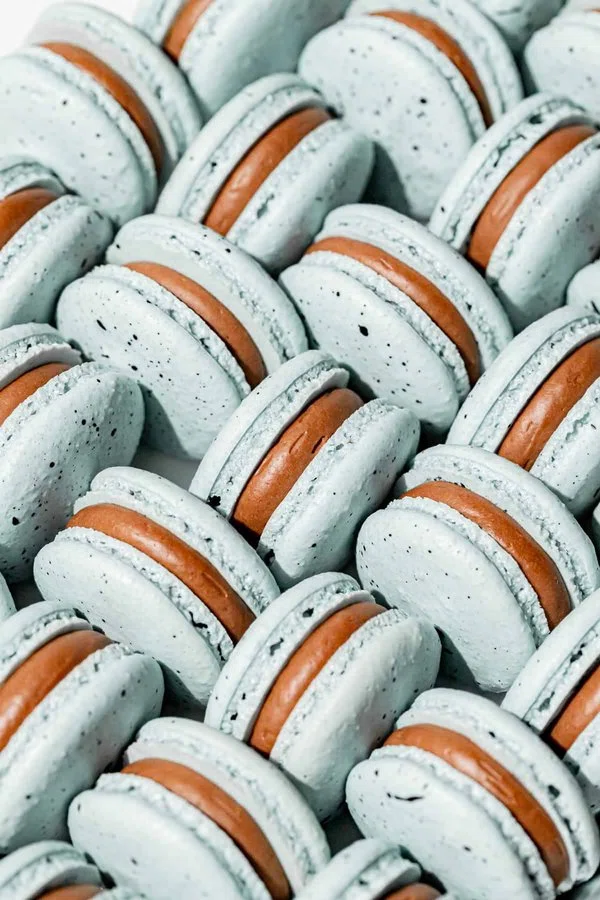 Robin's Egg Macarons cover