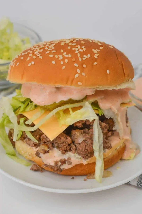 Big Mac Sloppy Joes cover