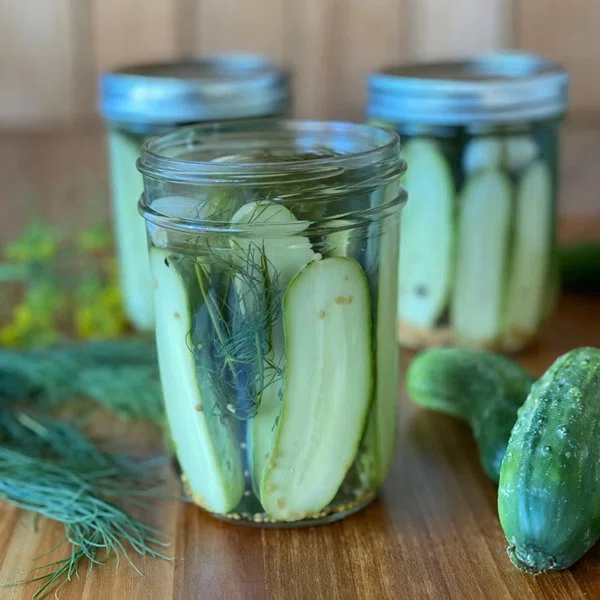 Dilly Quick Pickles cover