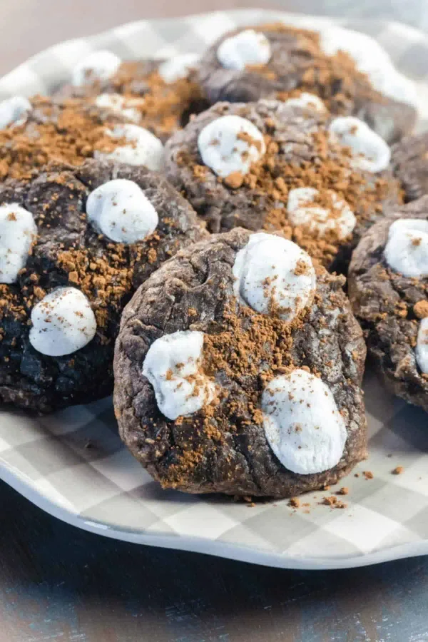 Hot Cocoa Cookies cover