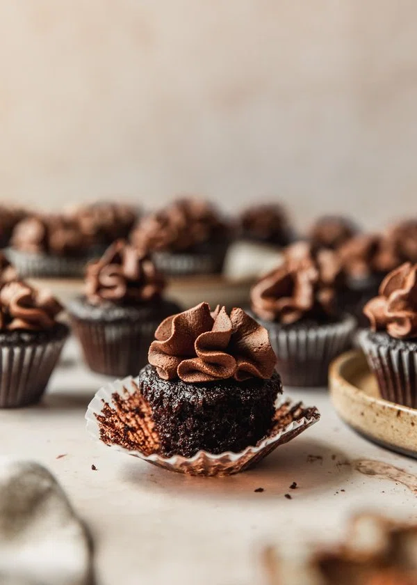 Chocolate Lover’s Mini Chocolate Cupcakes cover