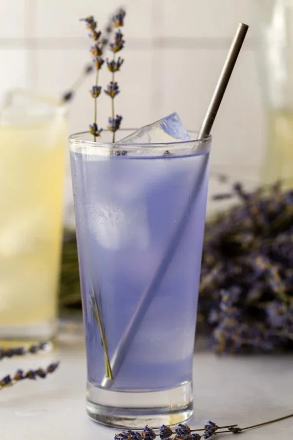 How to Make Lavender Syrup cover