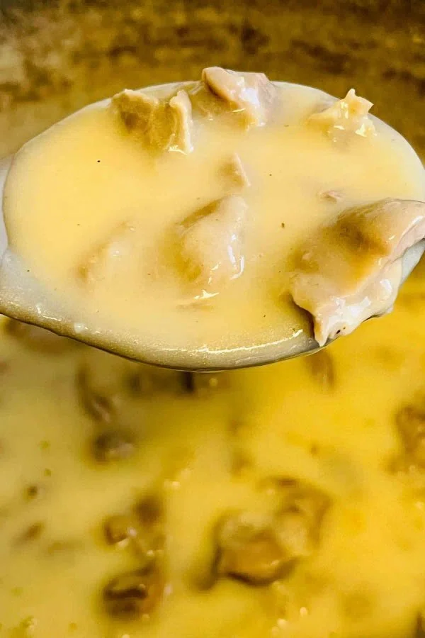 Giblet and Turkey Neck Gravy cover