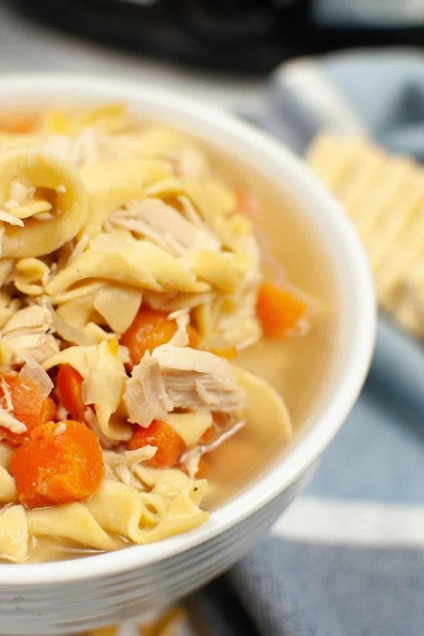 Slow Cooker Turkey Noodle Soup cover
