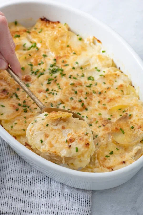 Golden Potato Gratin cover